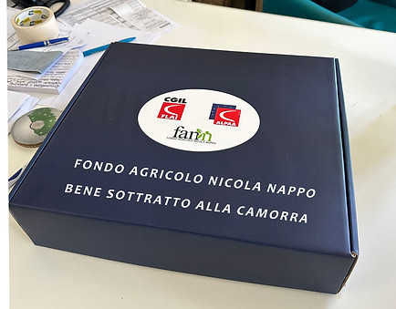 fondo nappo prodotto cassetta.jpg