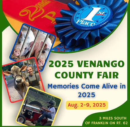 Fair Theme Pictrure.jpg
