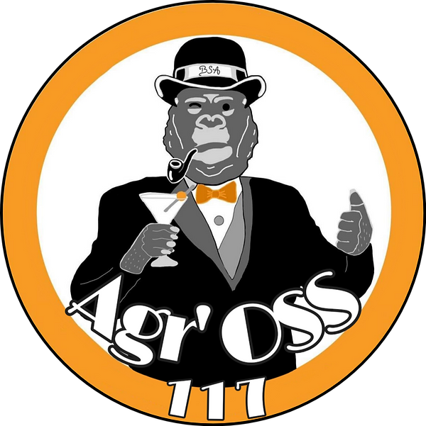logo finale Agr'oss 117.png