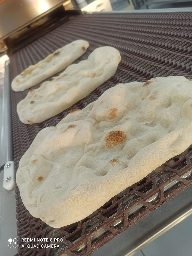 Immagine WhatsApp 2025-01-16 ore 14.24.08_f923f7e2.jpg