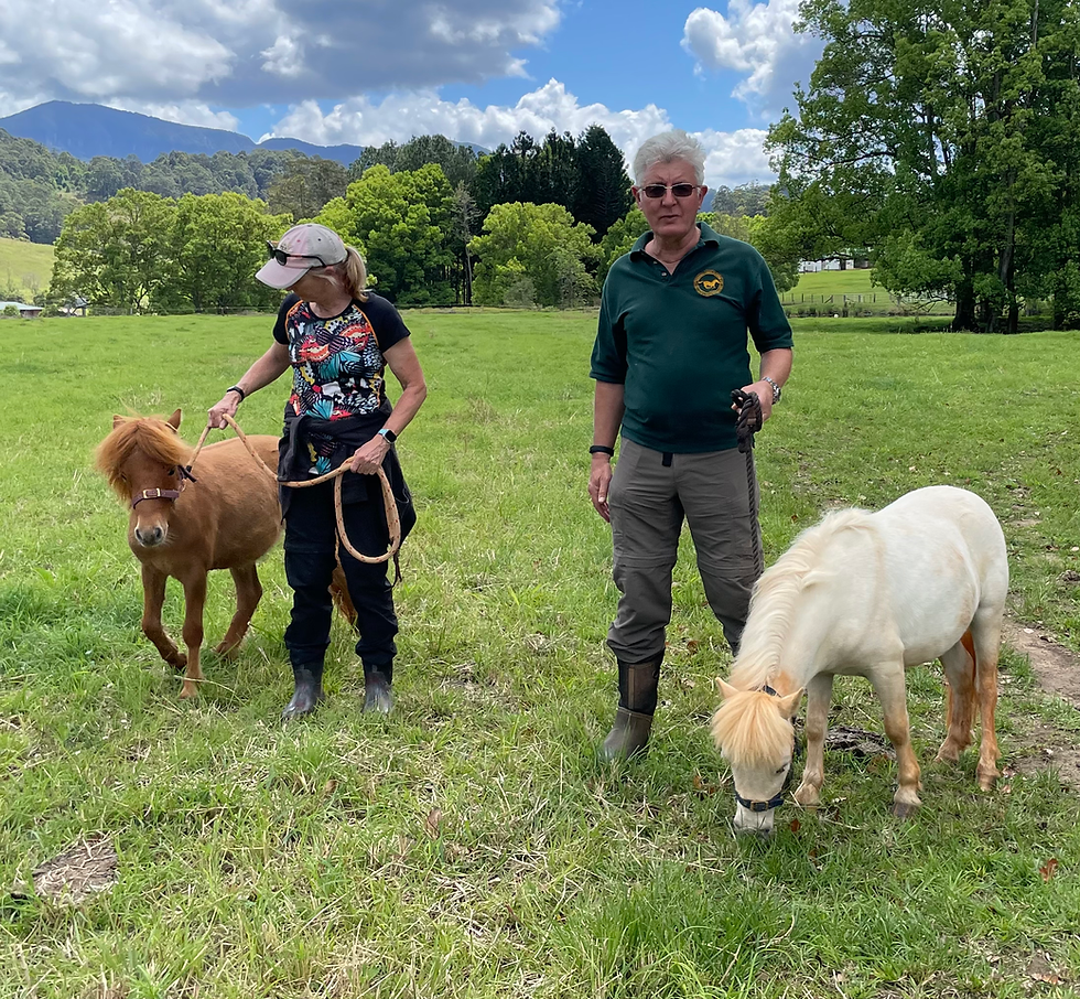 IMG_1784.HEIC