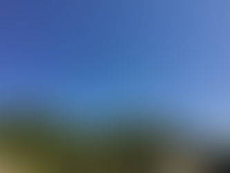 メディア定点調査