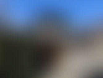 模擬空き家調査