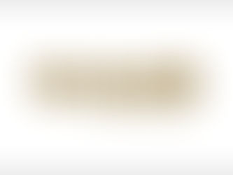 ゼルダ発売+プチレビュー