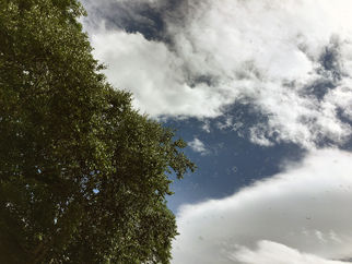 池田町空き家バンク