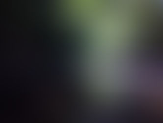 ひとりキャンプ