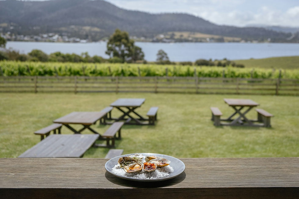 A plate of freshly shucked oysters