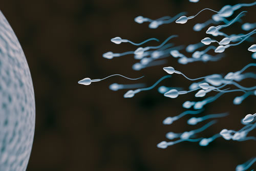 pregnancyfertilityspell