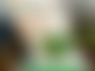 【ベランダ園芸 Part1】はじめてのベランダ園芸