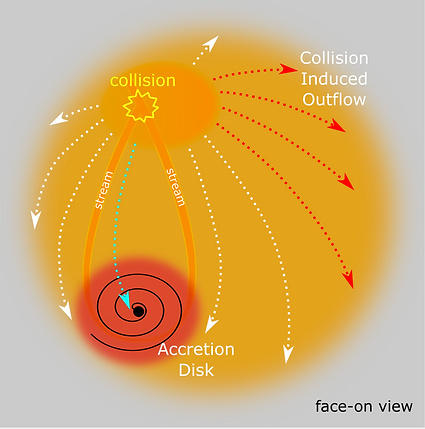 faceon_disk.png