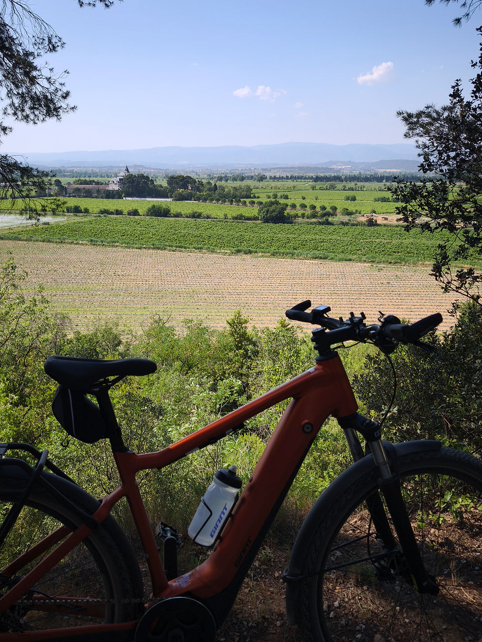 L'étang asséché de Marseillette depuis la Canal du Midi