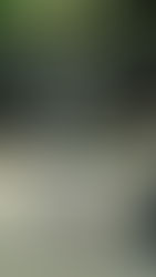 クリスタルできらきらダイエット