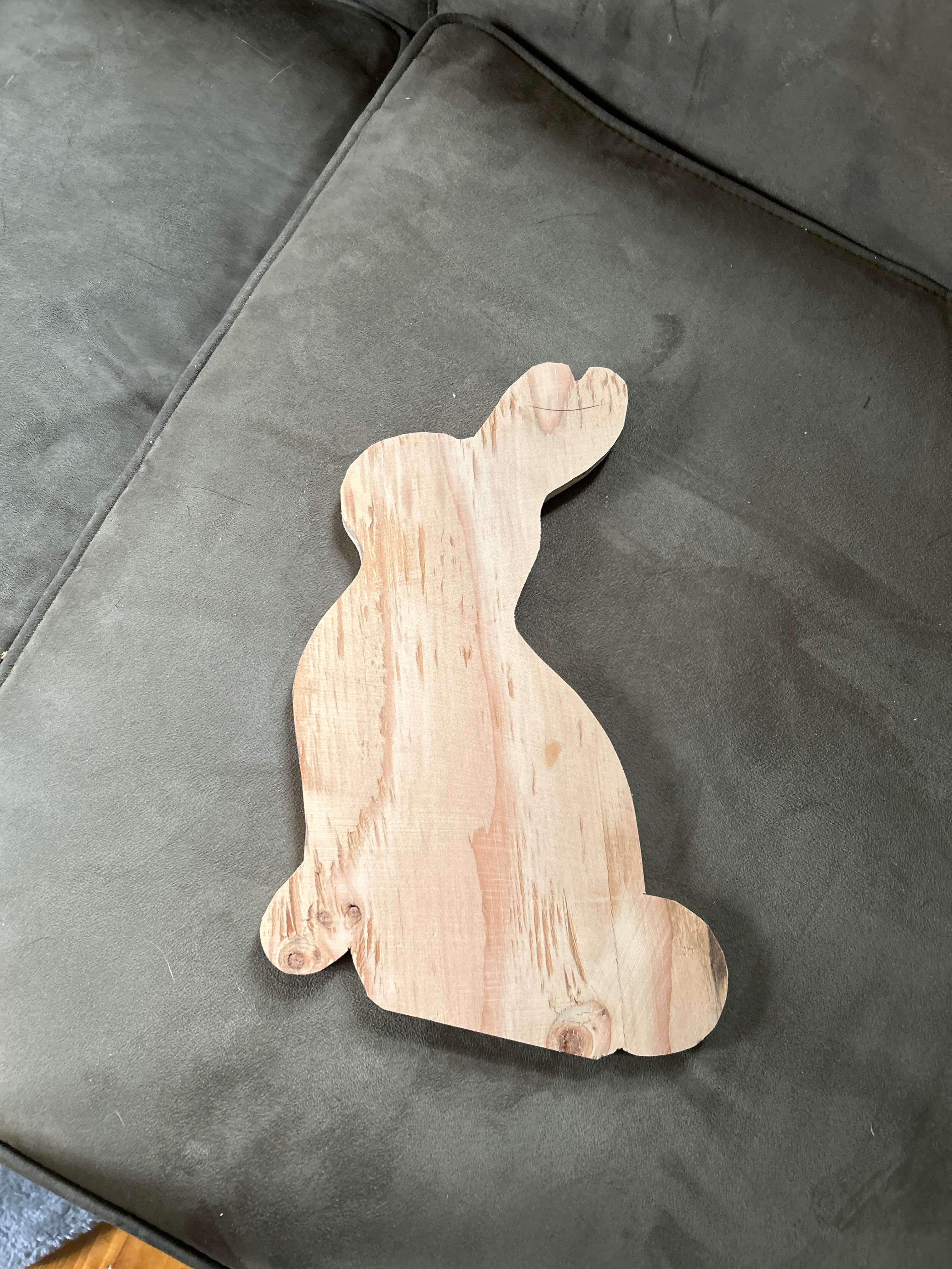Sitting bunnies 