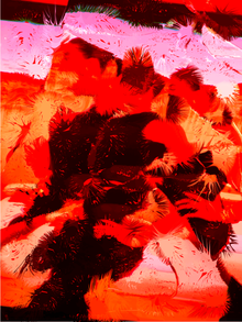 Mag_20.png