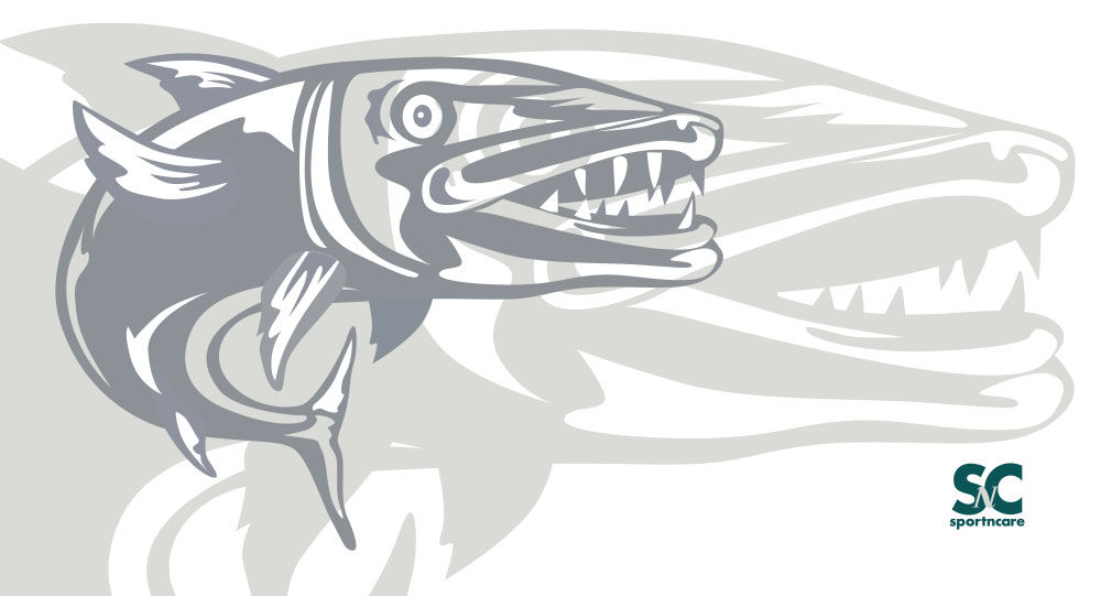Graphic fish in gray- BT8045