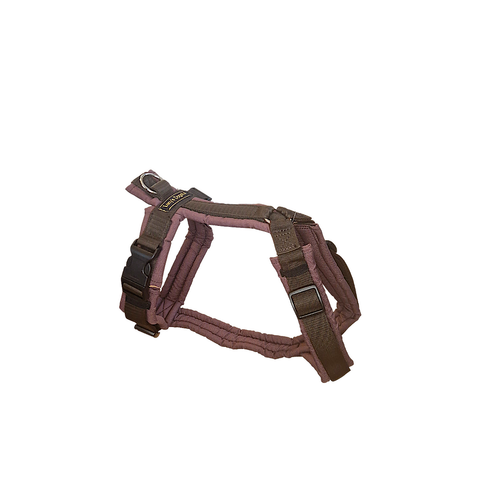 Gepolstertes Hundegeschirr braun-beere