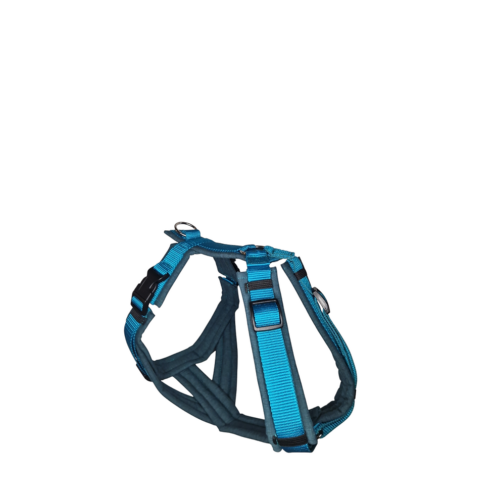 Gepolstertes Hundegeschirr petrol