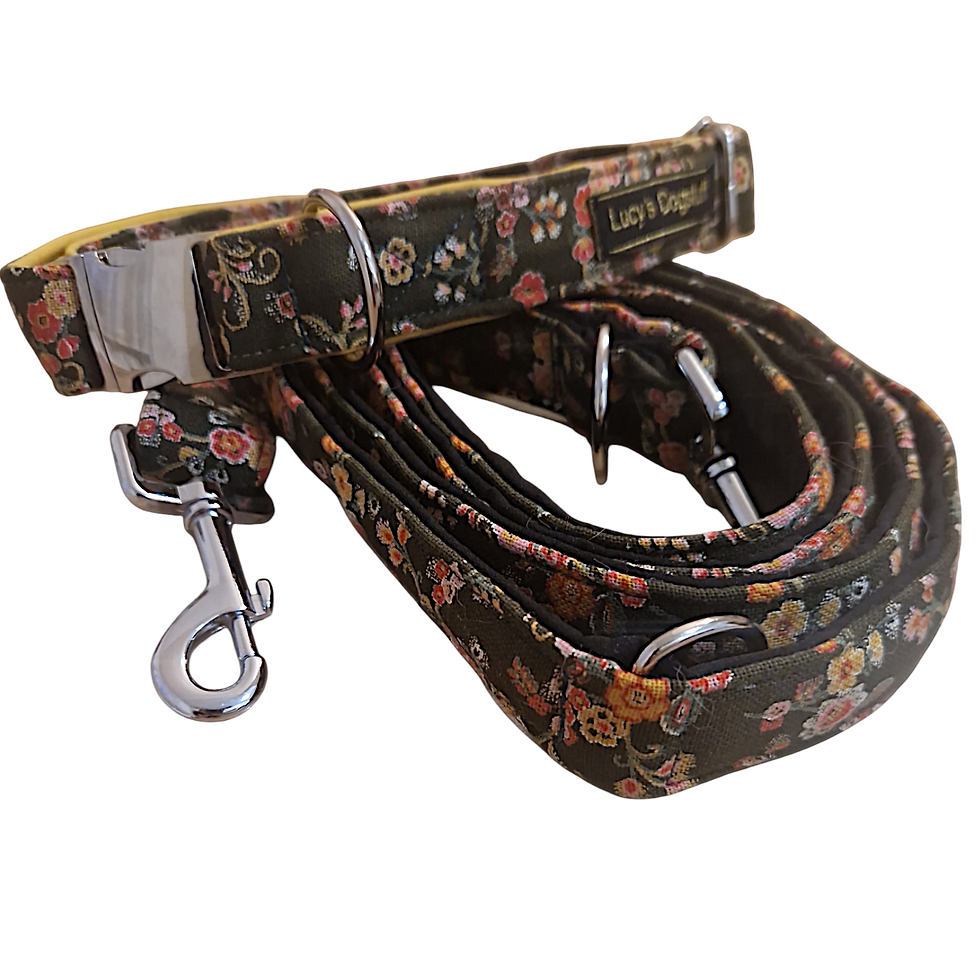 Gepolstertes Hundehalsband Leine Set "Dirndl" maßgeschneidert