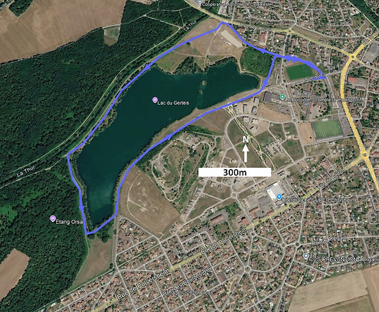 Elsassman avenir 2 VTT 2026.jpg
