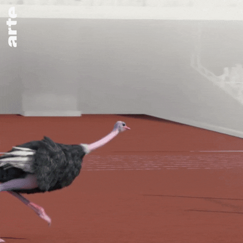 giphy.gif