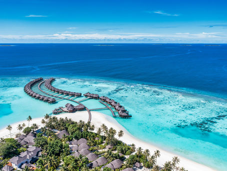 Yet Another Travel Firm Goes Bust: What the Wayfairer Collapse Tells Us About Business Debt