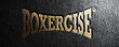 Boxercise 3D_Texture Version Four.jpg