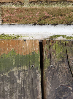 240627_SB_Website_vs-1.jpg