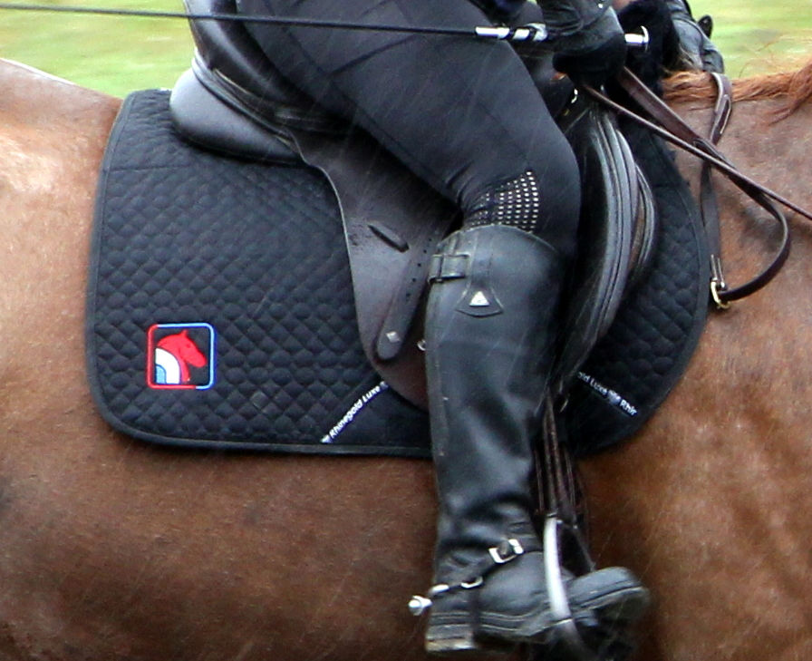 Thumbnail: Fur Dressage Saddle Cloth