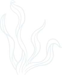 tree-service-1.png