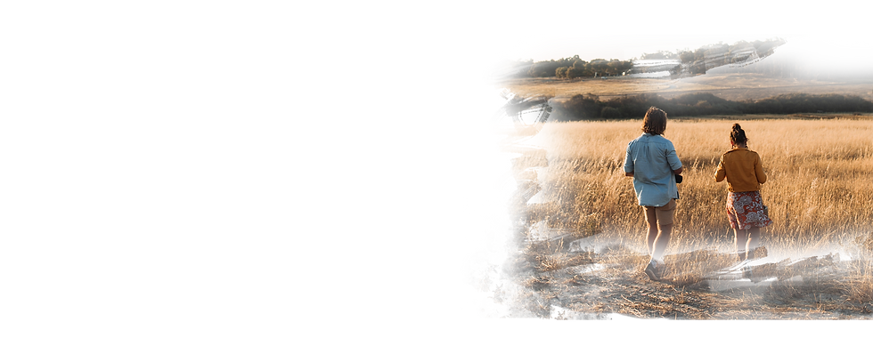 land.fw.png