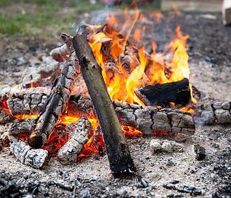 bbq firewood.jpg