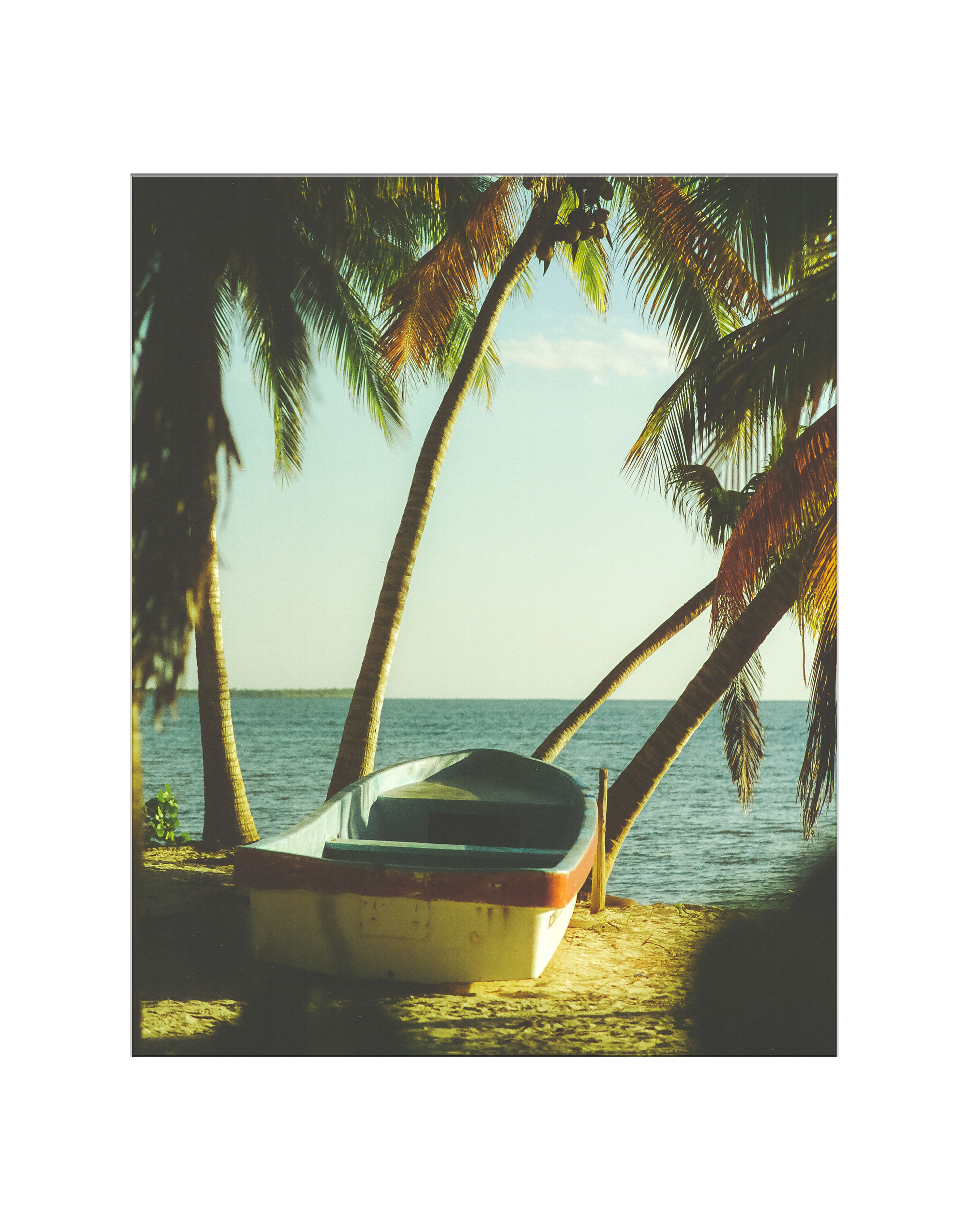 It's 5 o'clock Somewhere