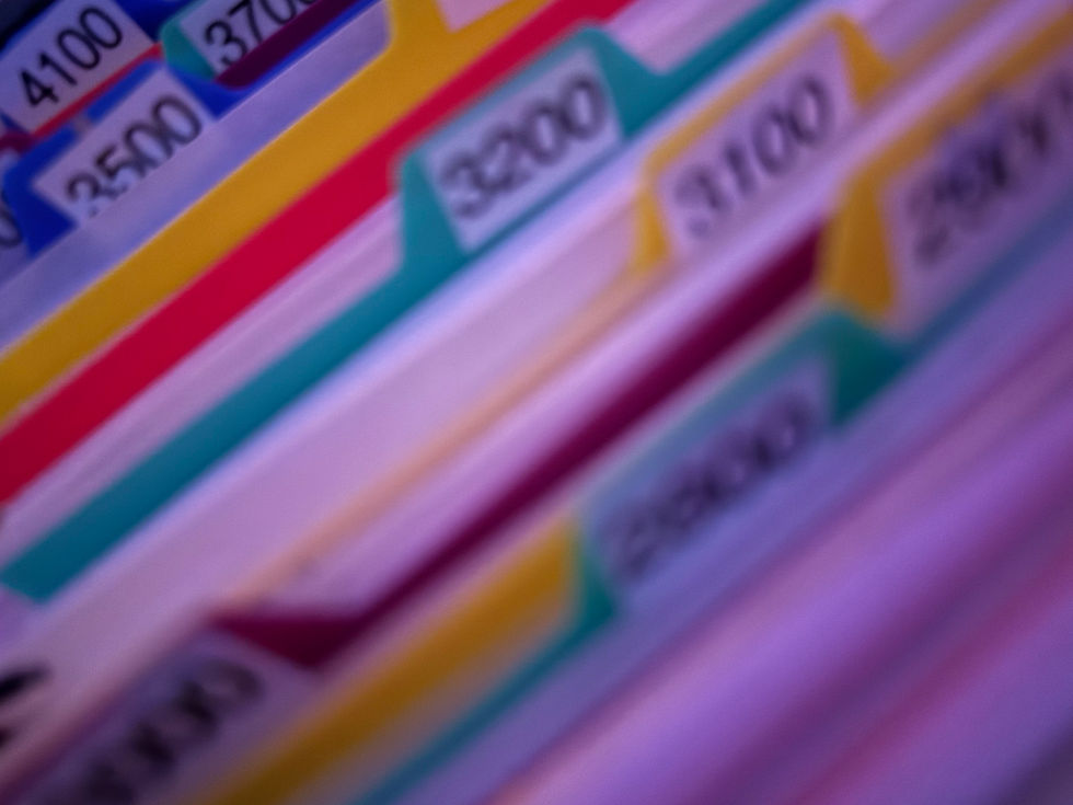 StamPal: Your Premium Source for US Stamp Collectibles