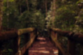 pexels-photo-236412.jpeg