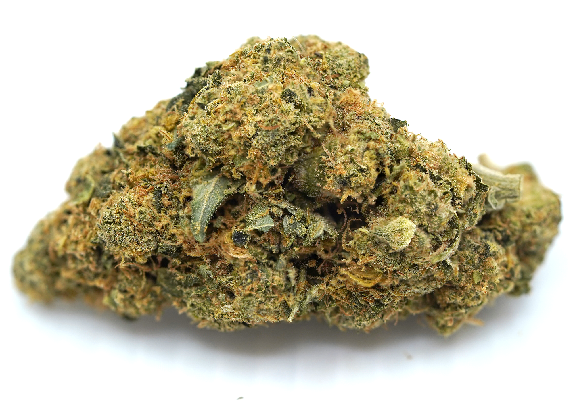 Tropicana Punch (Indoor)