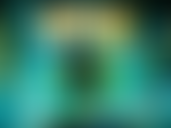 Rippers Crack the Code Videoland / RTL Nederland