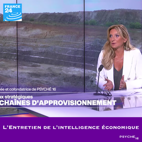 Laurence Rimbeuf, partner at Psyché 16, was a guest on Les Entretiens de l'Intelligence Économique on France 24. "Battle of Strategic Metals: The Challenge of Supply Chains."