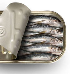 sardines
