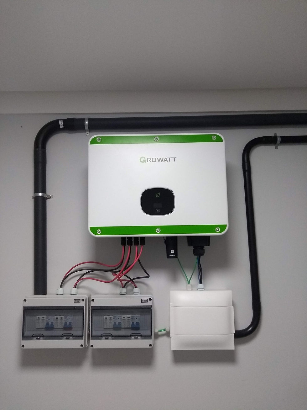 PERFECTA Oral Médica