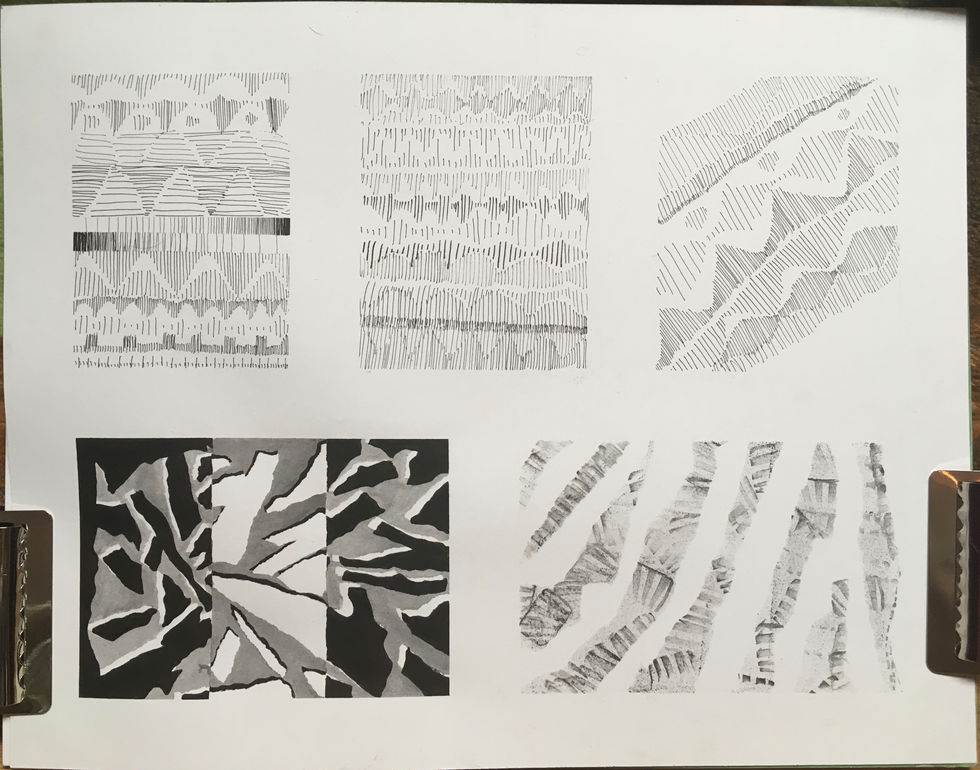10,000 Lines Part 2 Experiments 2