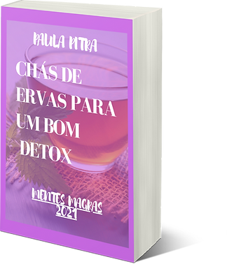 EBOOK DE CHAS 1C.png
