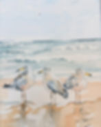 Seagull Watercolor Workshop