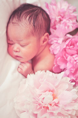 colorado photographer