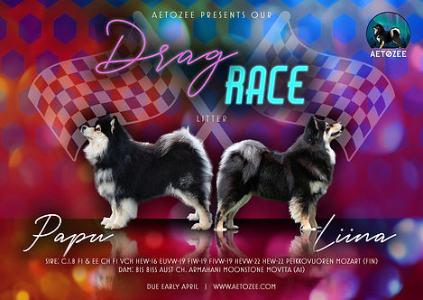 RuPaul Litter Ad.jpeg
