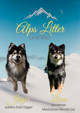 Alps Litter (1).png