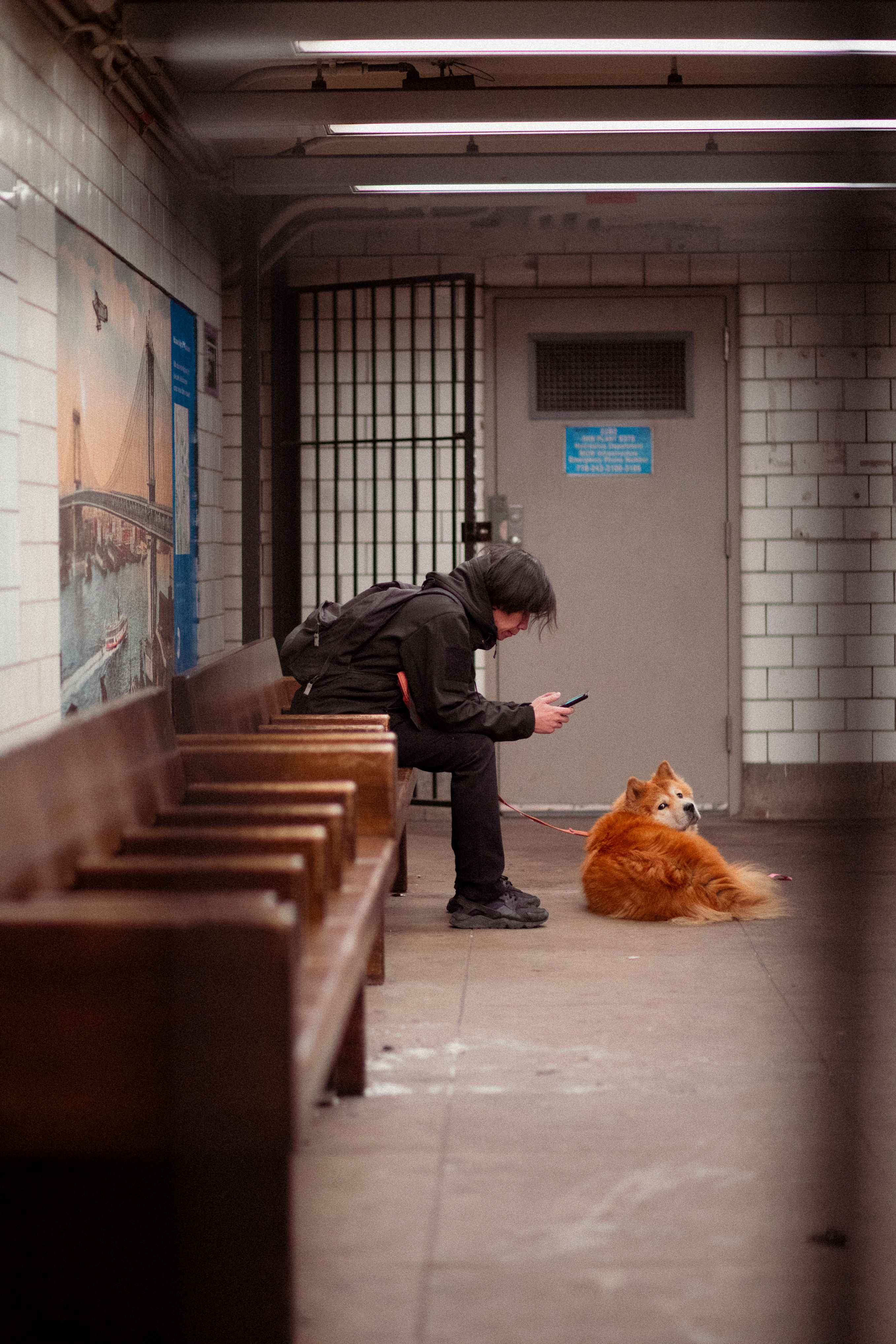 Matias Pigni - What are you looking at? Have you never seen a dog and his human?