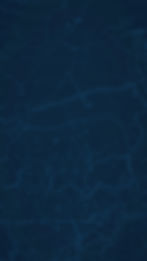 Tech_TOPO_BLUE_horizontal_edited_edited_edited.jpg