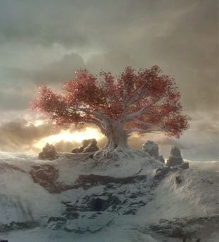 image of a God Tree from Game of Thrones