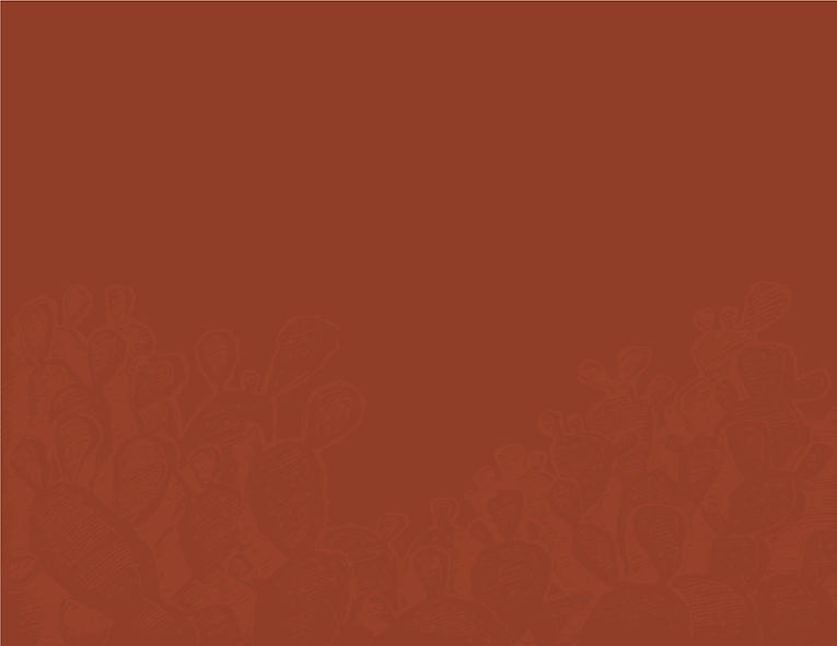 Doodle_Cactus_BG-03.jpg