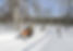 Snowmobiling
